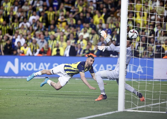 体系方面 体系方面