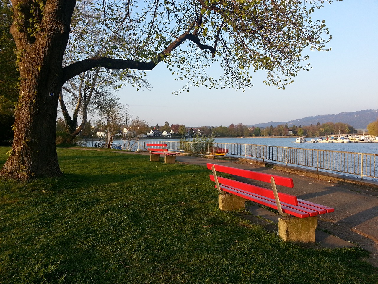 重返巔峰的 重返巔峰的