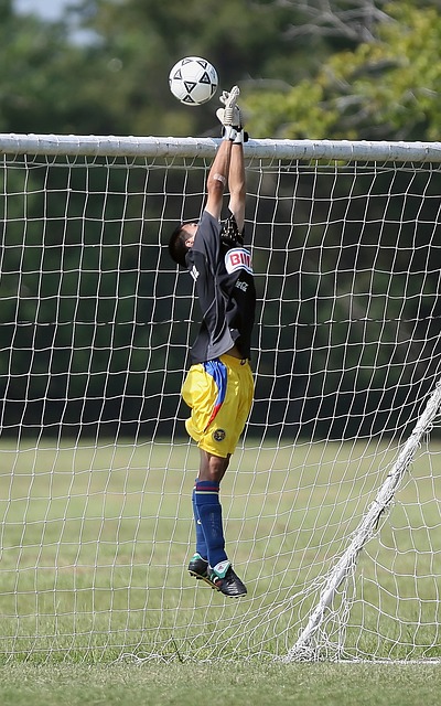 出了挑战 出了挑战