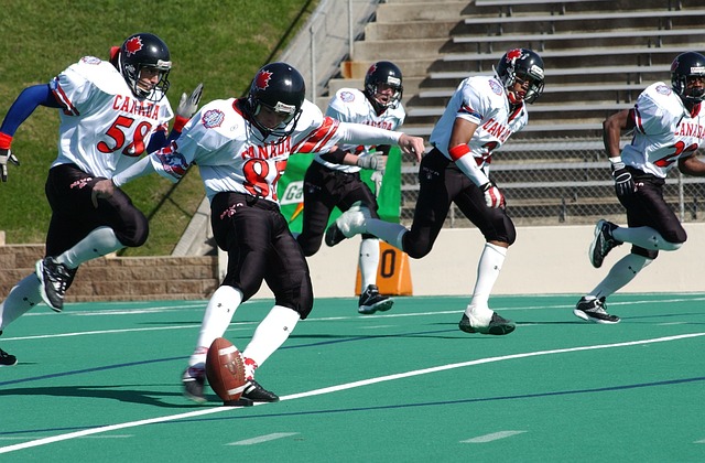 不仅巩固了 不仅巩固了